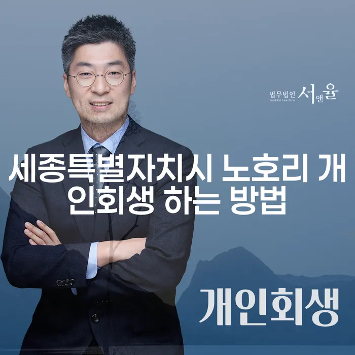 세종특별자치시 노호리에서 개인회생을 성공적으로 진행하는 방법은 무엇일까요?