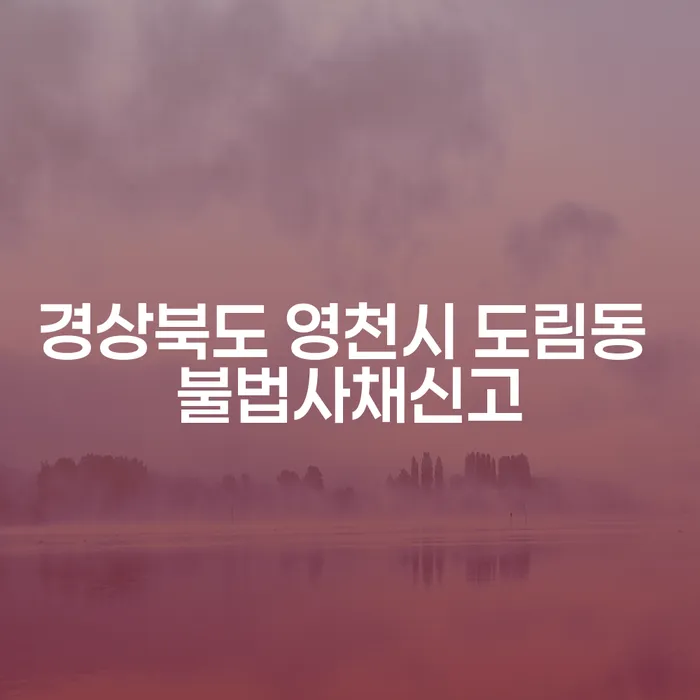 경상북도 영천시 도림동에서 불법사채신고를 해야 하나요?
