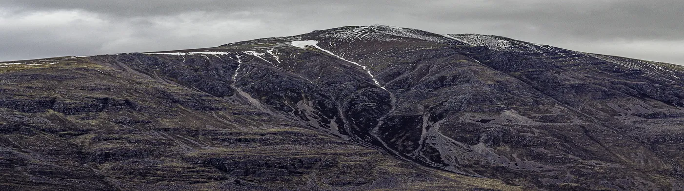 법무법인 서앤율