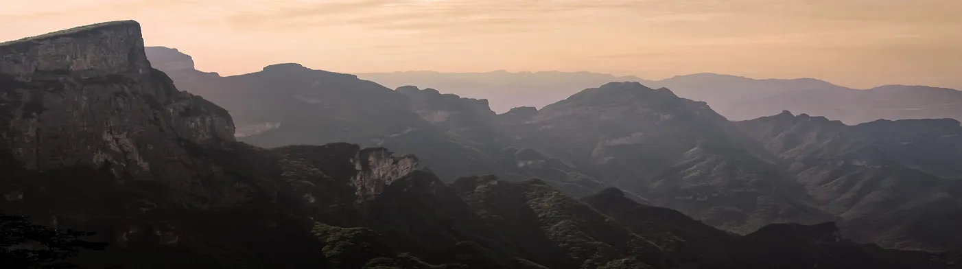 법무법인 서앤율