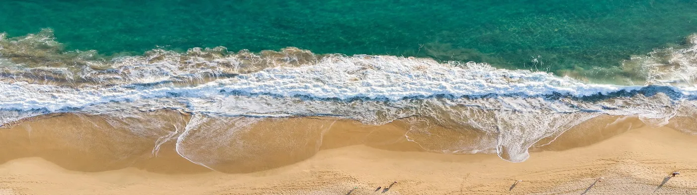 법무법인 서앤율